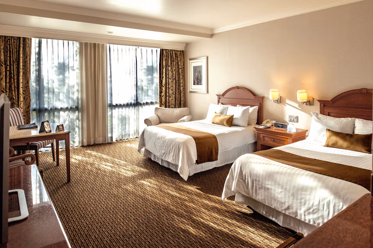 Deluxe double room with view