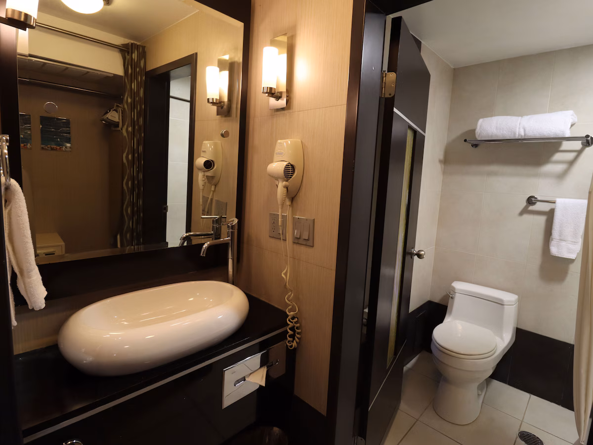 Standard room bathroom
